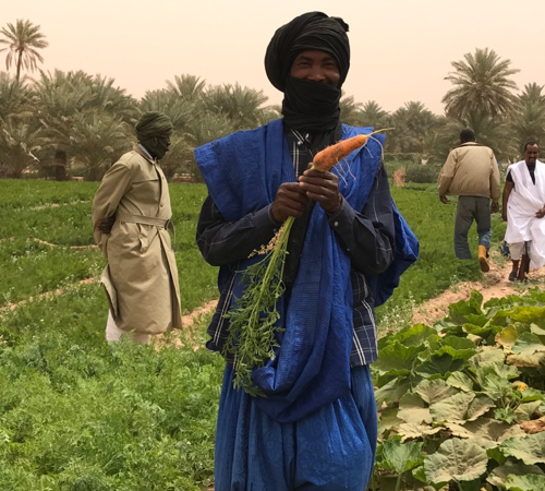 Résilience en Mauritanie Agriculture biologique