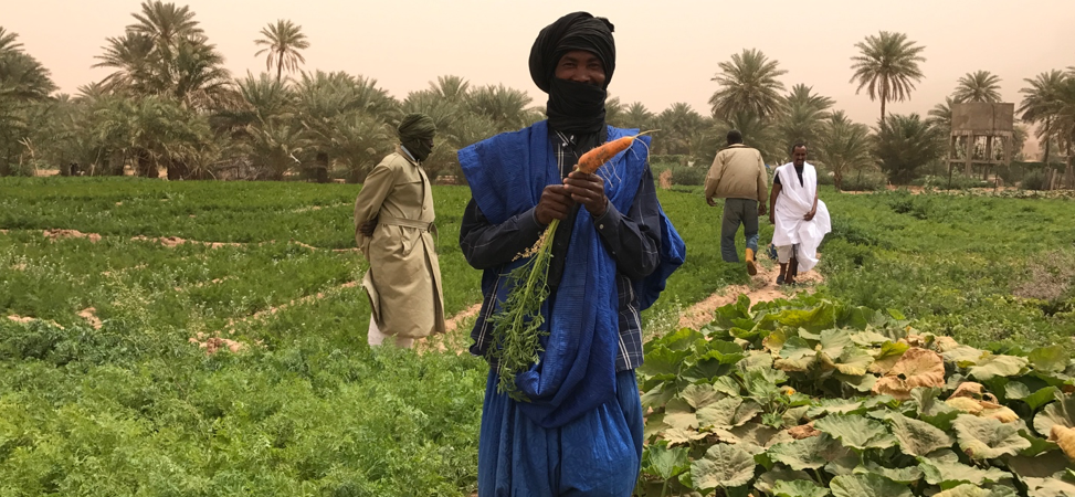 Résilience en Mauritanie Agriculture biologique